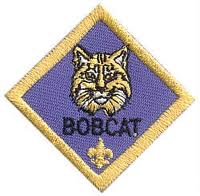 Bobcat